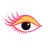Eyelid